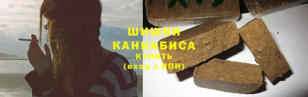 ГАЛЛЮЦИНОГЕННЫЕ ГРИБЫ Гусев