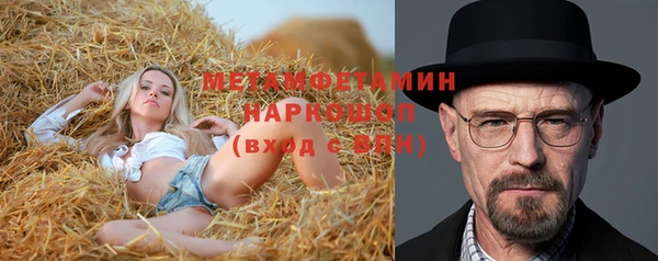 ГАЛЛЮЦИНОГЕННЫЕ ГРИБЫ Гусев