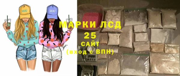 ГАЛЛЮЦИНОГЕННЫЕ ГРИБЫ Гусев