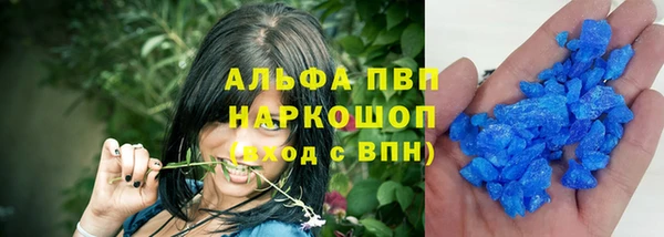 ГАЛЛЮЦИНОГЕННЫЕ ГРИБЫ Гусев