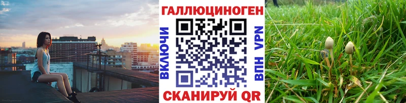 Псилоцибиновые грибы мухоморы  Яхрома 